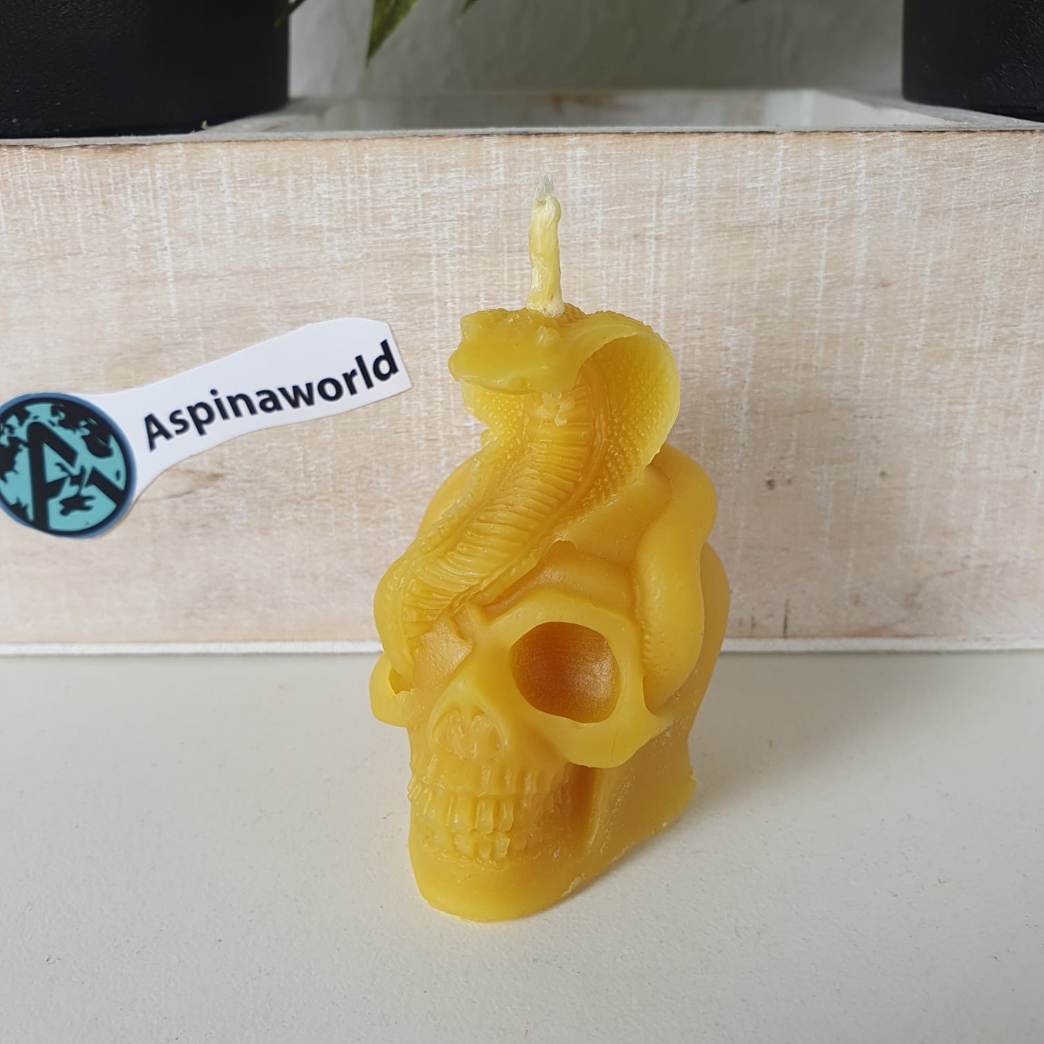 Bienenwachskerze Totenkopf Kerze mit Schlange 6 cm