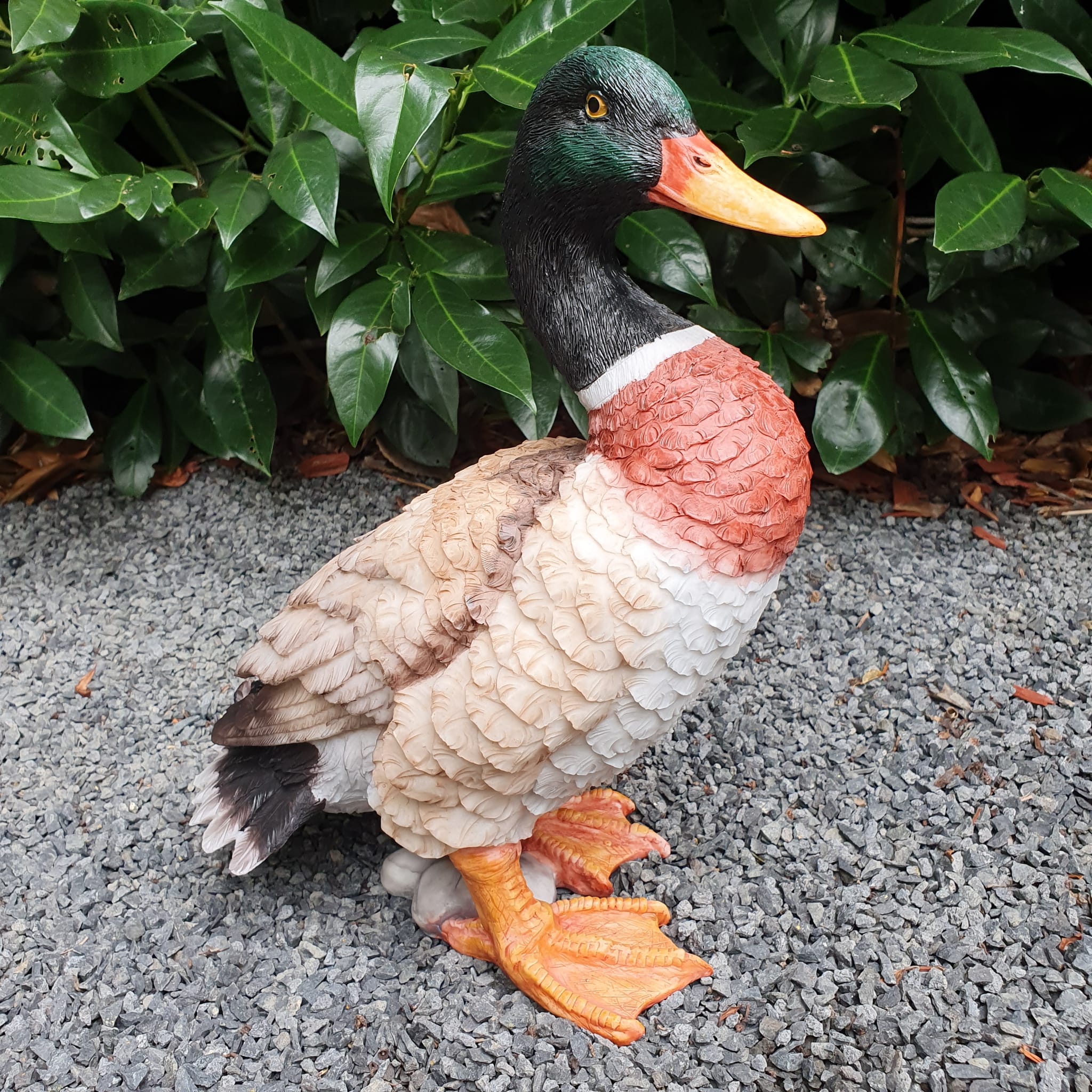 Erpel Gartenfigur bunte Enten Figur 30 cm
